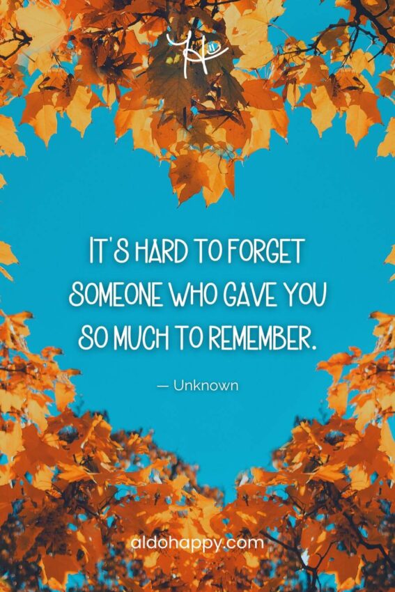 aesthetic grief quote from a little dose of happy that says, "It's hard to forget someone who gave you so much to remember." by Unknown