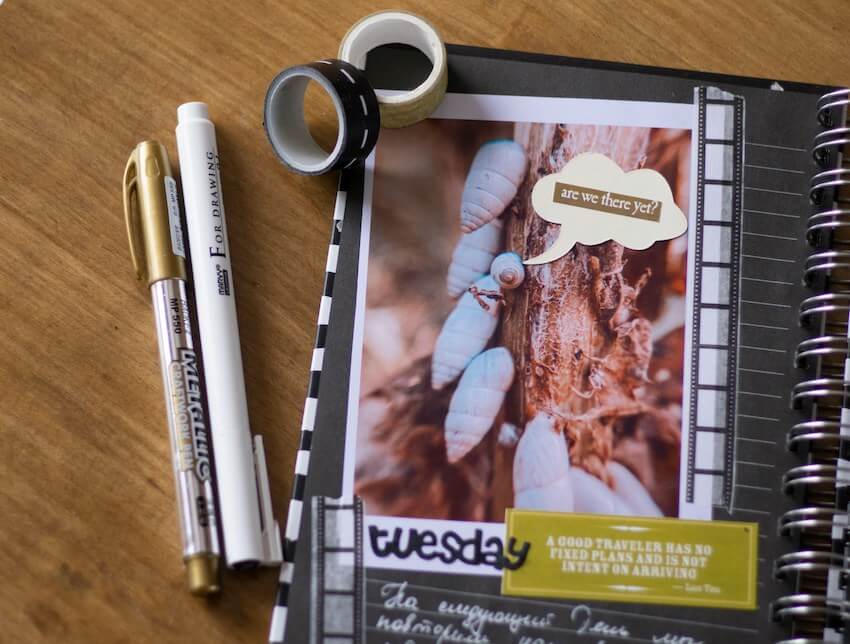 cute Tuesday page of a memory book