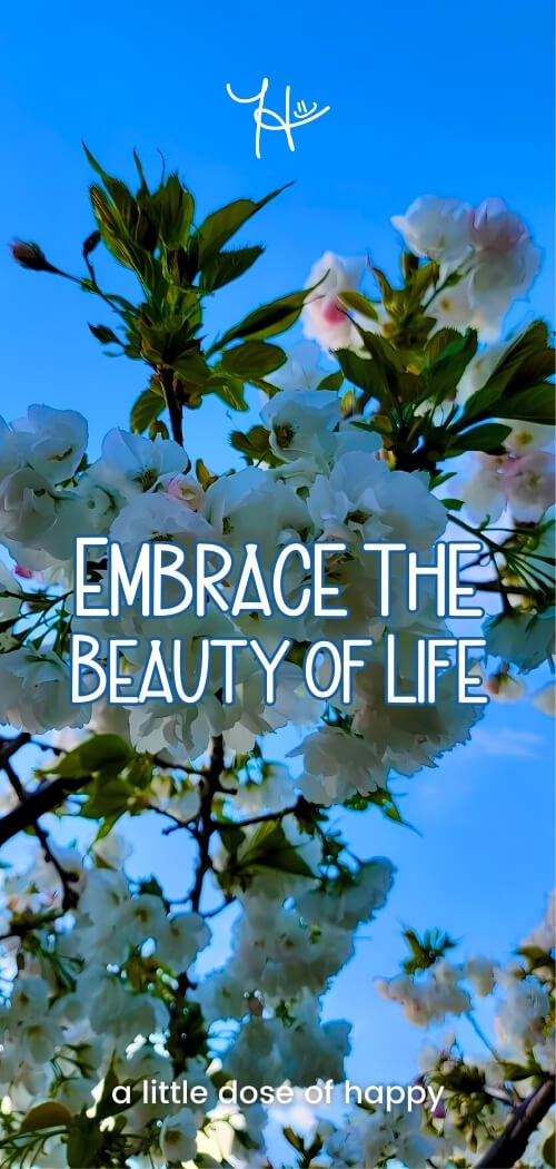 Inspirational blue aesthetic wallpaper from a little dose of happy (aldohappy.com) that says, "Embrace the Beauty of Life"