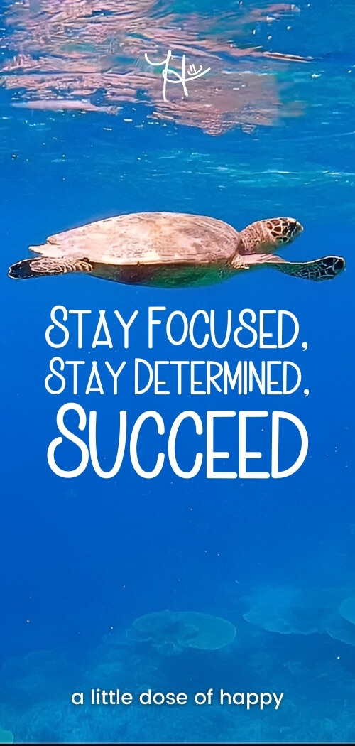 Inspirational blue aesthetic wallpaper from a little dose of happy (aldohappy.com) that says, "Stay Focused, Stay Determined, Succeed"