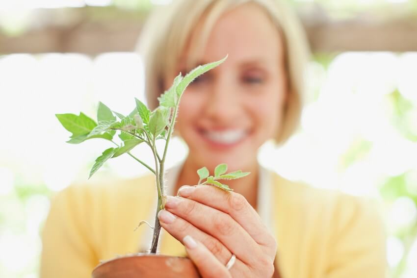 smiling woman admiring her small tomato plant