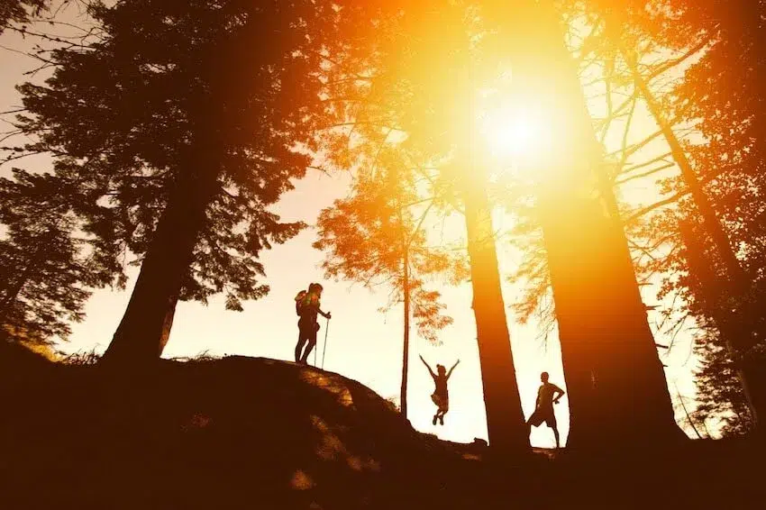 silhouettes of 3 hikers in the woods with one hiker jumping for joy