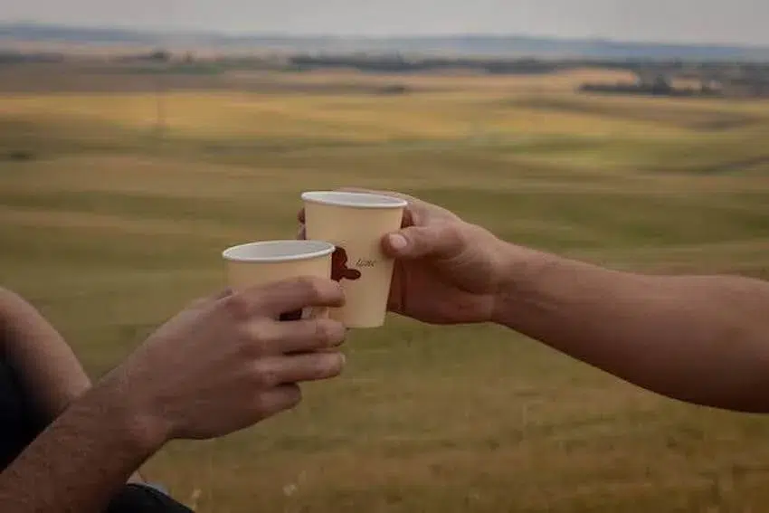 cheers with paper cups