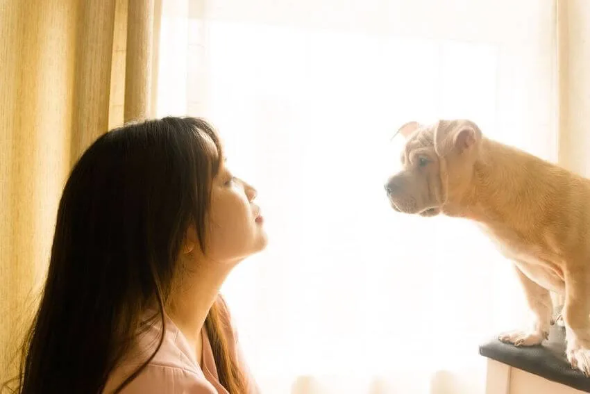 woman speaking to her dog