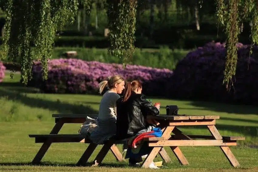 friends talking at a picnic table