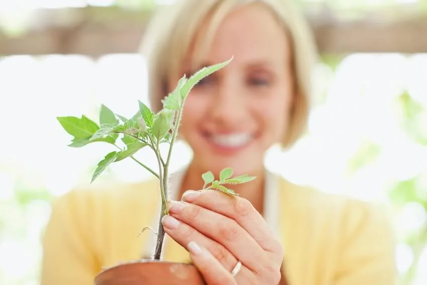 happy woman holding a growing plant