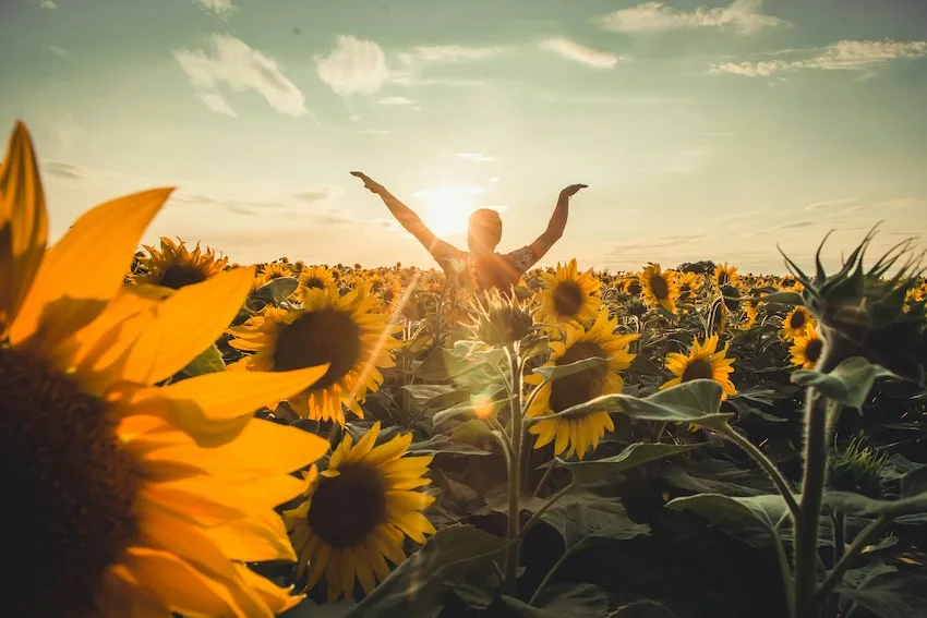 person dancing in a field of sunflowers