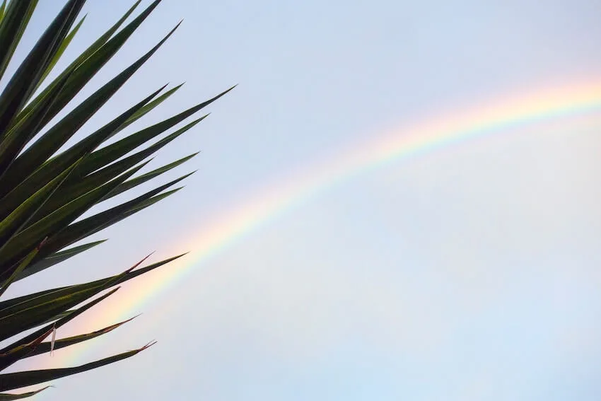 a rainbow in the sky