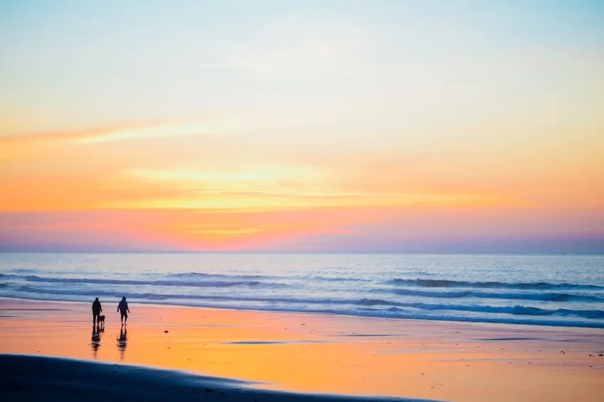 a couple walking with their dog on the beach during sunset