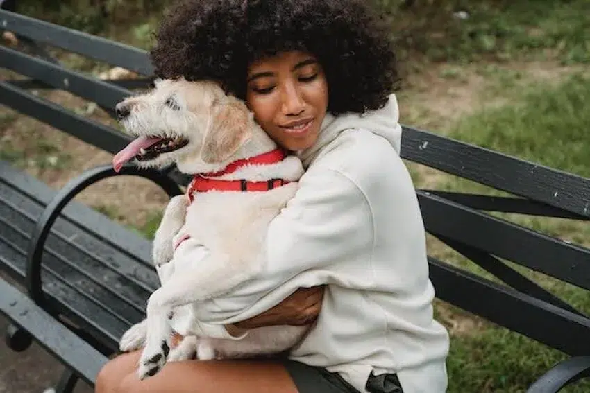 woman sitting on a bench hugging a dog