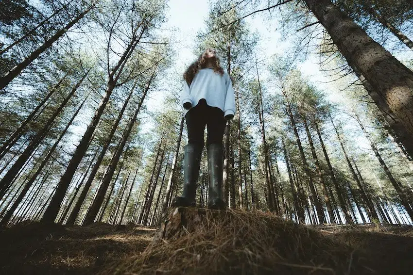 woman standing in a forest looking up